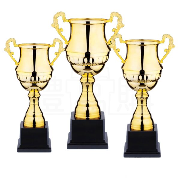 11390_Trophy_1