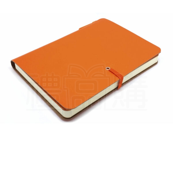 11699_Notebook_2