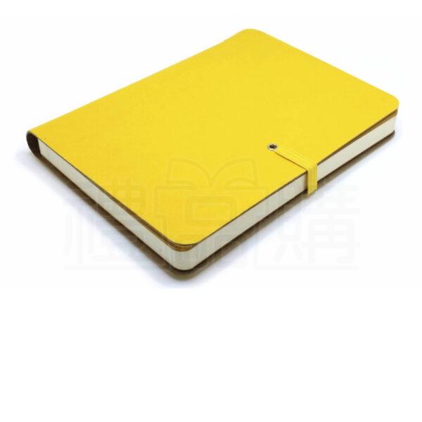 11699_Notebook_3