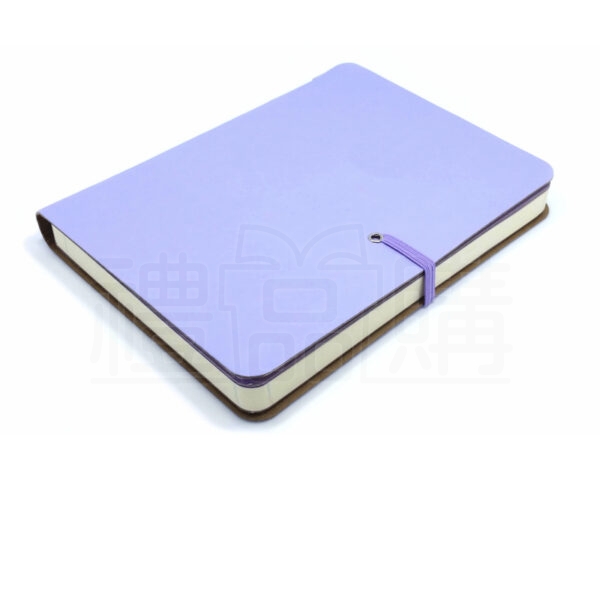 11699_Notebook_4