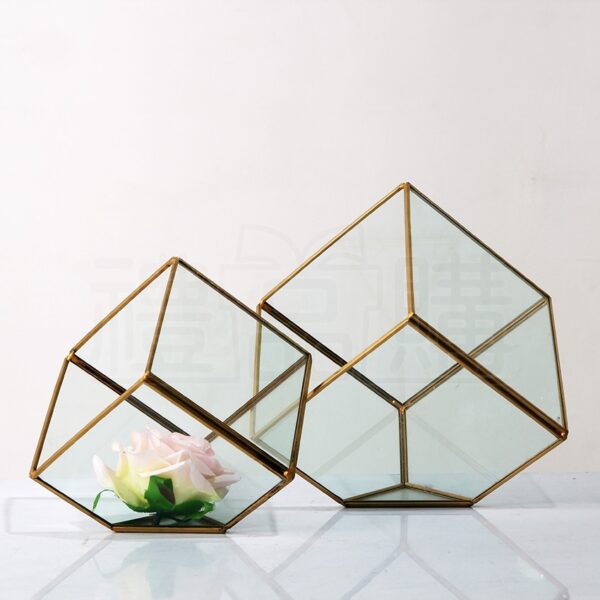 17462_Geometric_Terrariums_01