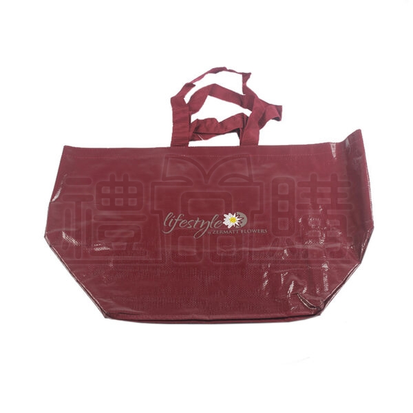 17499_Shopping_Bag_06