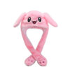 22904_Plush_Animal_Ear_Hat_07