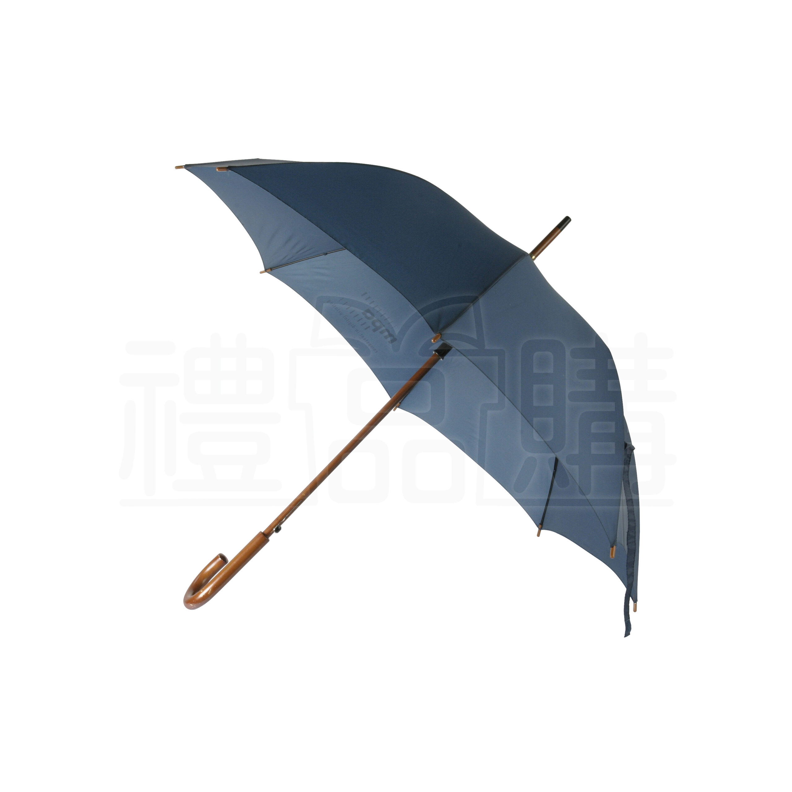 11080_Umbrella_1