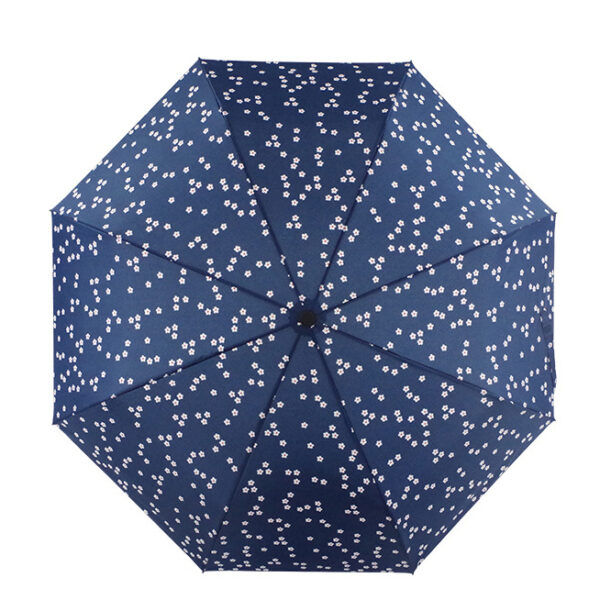17184_Folding-Umbrella_2