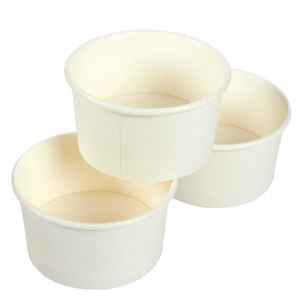 18780_Customized-Disposable-Paper-Food-Containers_2