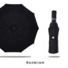 20185_Umbrella_04