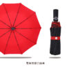 20185_Umbrella_06