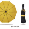 20185_Umbrella_07