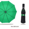 20185_Umbrella_09
