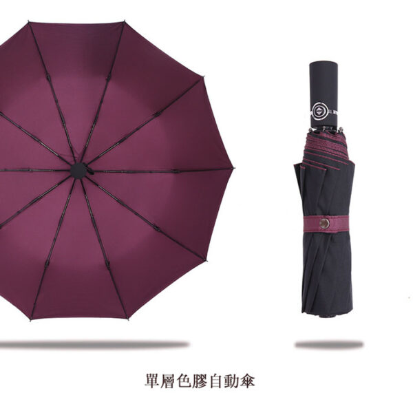 20185_Umbrella_10