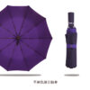 20185_Umbrella_11