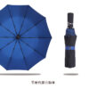 20185_Umbrella_12