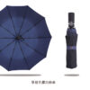 20185_Umbrella_13