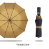 20185_Umbrella_14