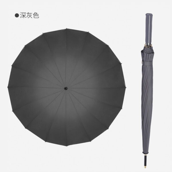 23830_Umbrella_02