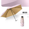 24225_Folding_Umbrella_04