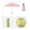 26841_umbrella_set_08