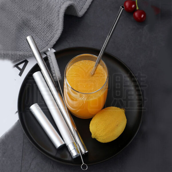 22175_Stainless_Steel_Straw_Set_with_Tube_01