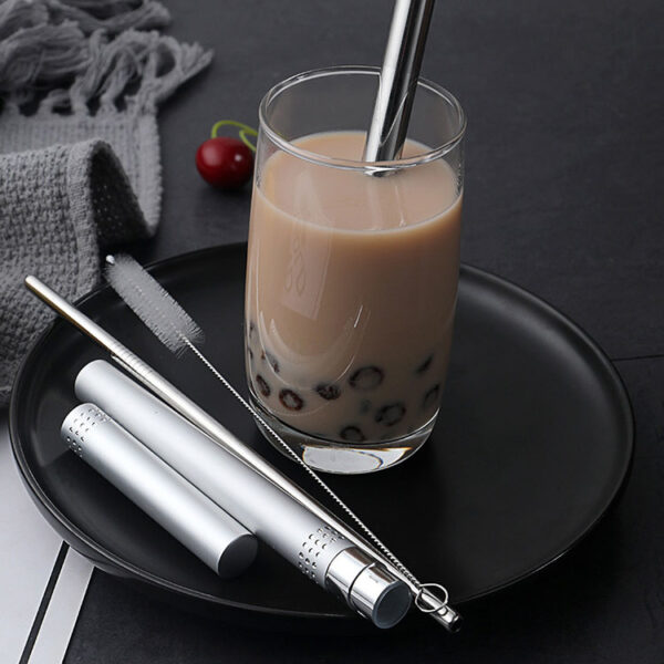 22175_Stainless_Steel_Straw_Set_with_Tube_02