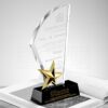 26456_trophy_02