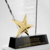 26456_trophy_03