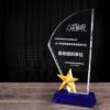 26456_trophy_05