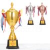 29627_trophy_04
