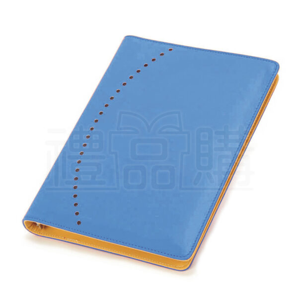 11567_Notebook_2