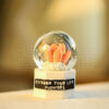 21941_Crystal_Ball_04