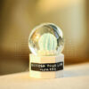 21941_Crystal_Ball_05