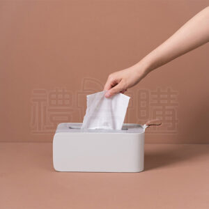 22010_01_tissue