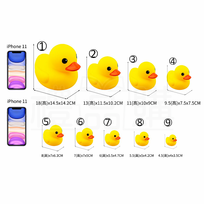 24449_Rubber_Duck_08