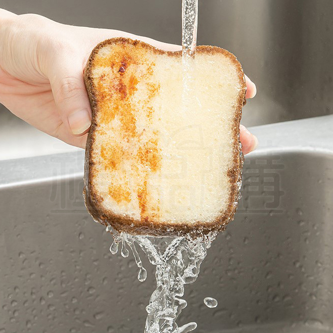 24890_Sponge_03-151333-044
