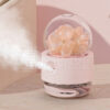 25703_humidifier_01