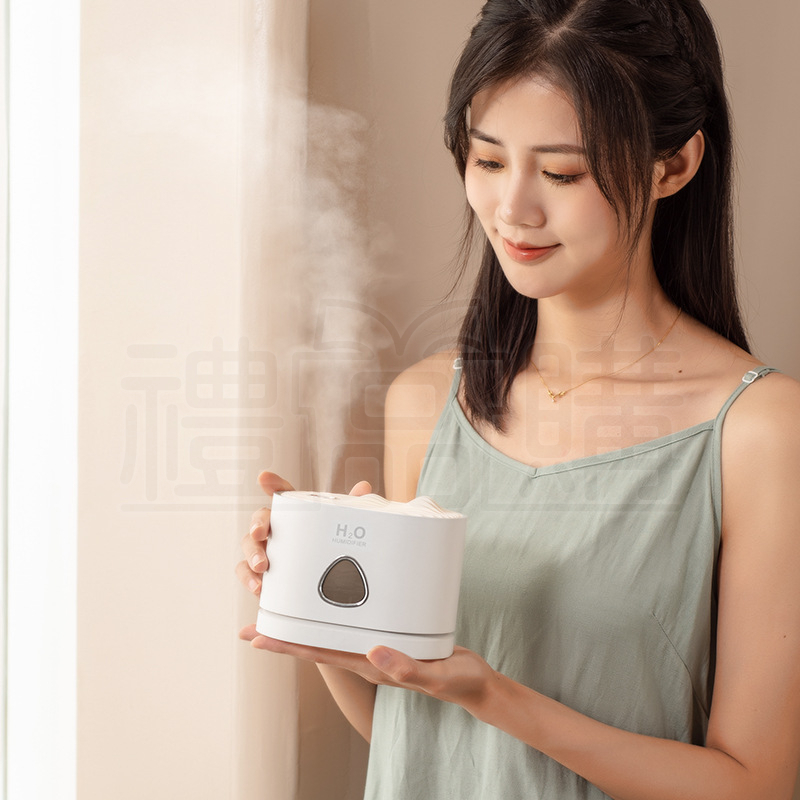 25905_humidifier_06