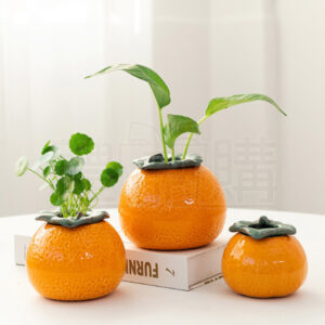27223_pot_01