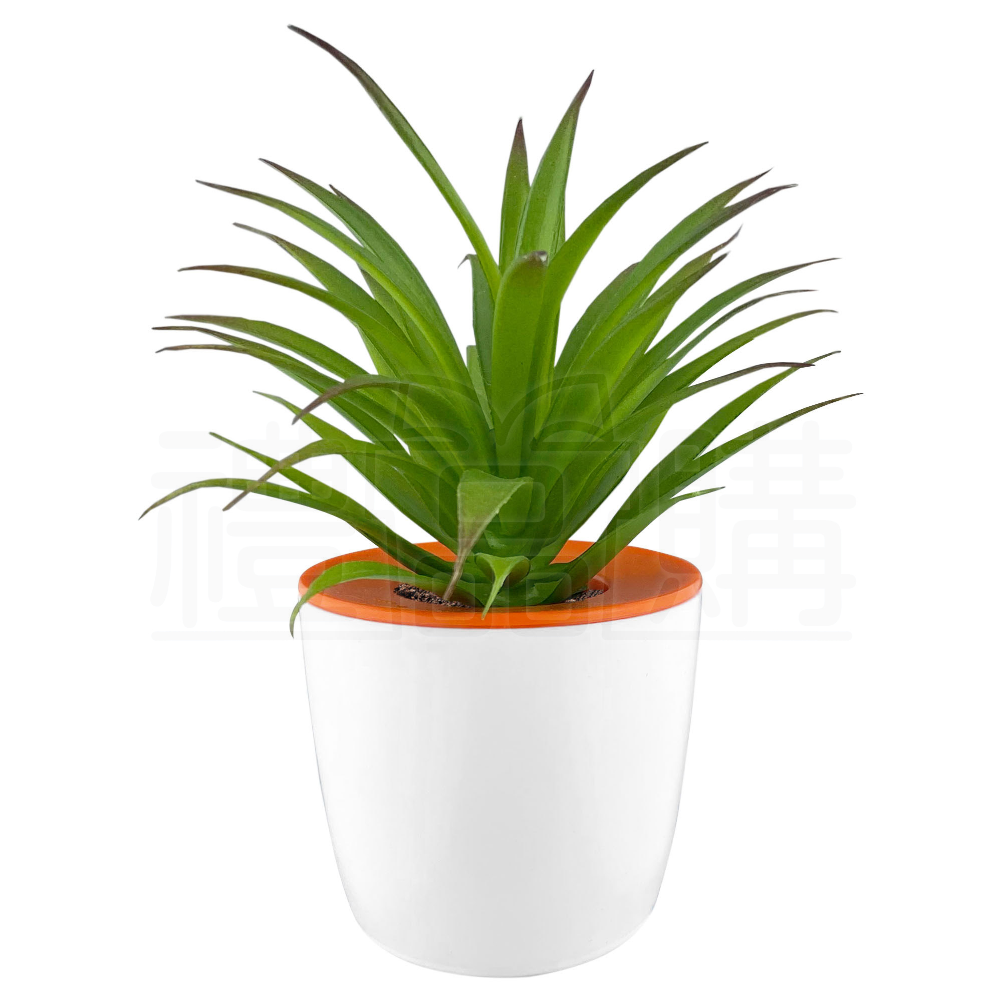 27590_mini_desk_plant_pot__2-105843-047