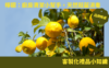 去污