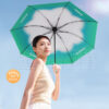 30684_umbrella_02-101144-005
