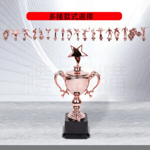 31288_multi-style-trophy-1-152131-093