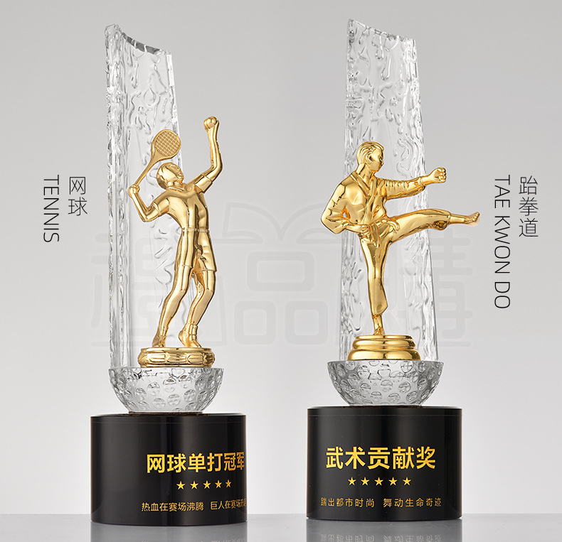 31311_crystal-trophy-6-145613-075