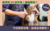 按摩梳