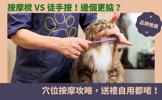 按摩梳
